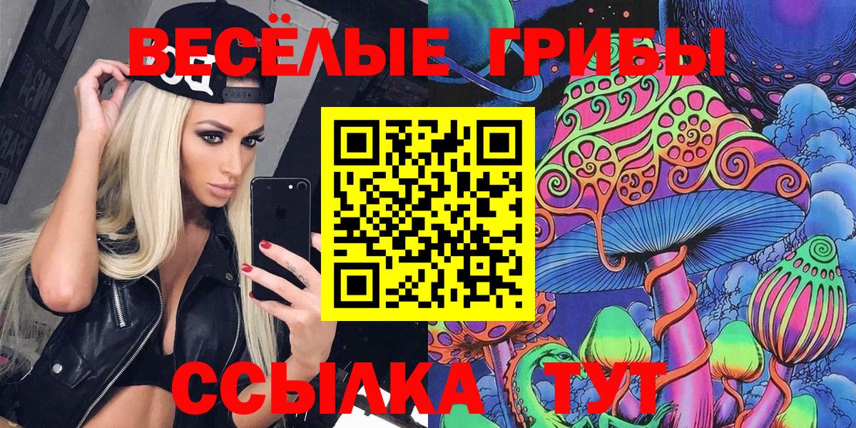 Галлюциногенные грибы Psilocybine cubensis Санкт-Петербург